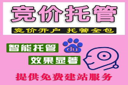 百度竞价广告投放的实战经验与案例分析